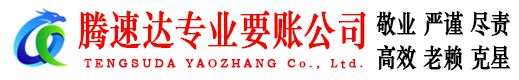 泰山讨债公司